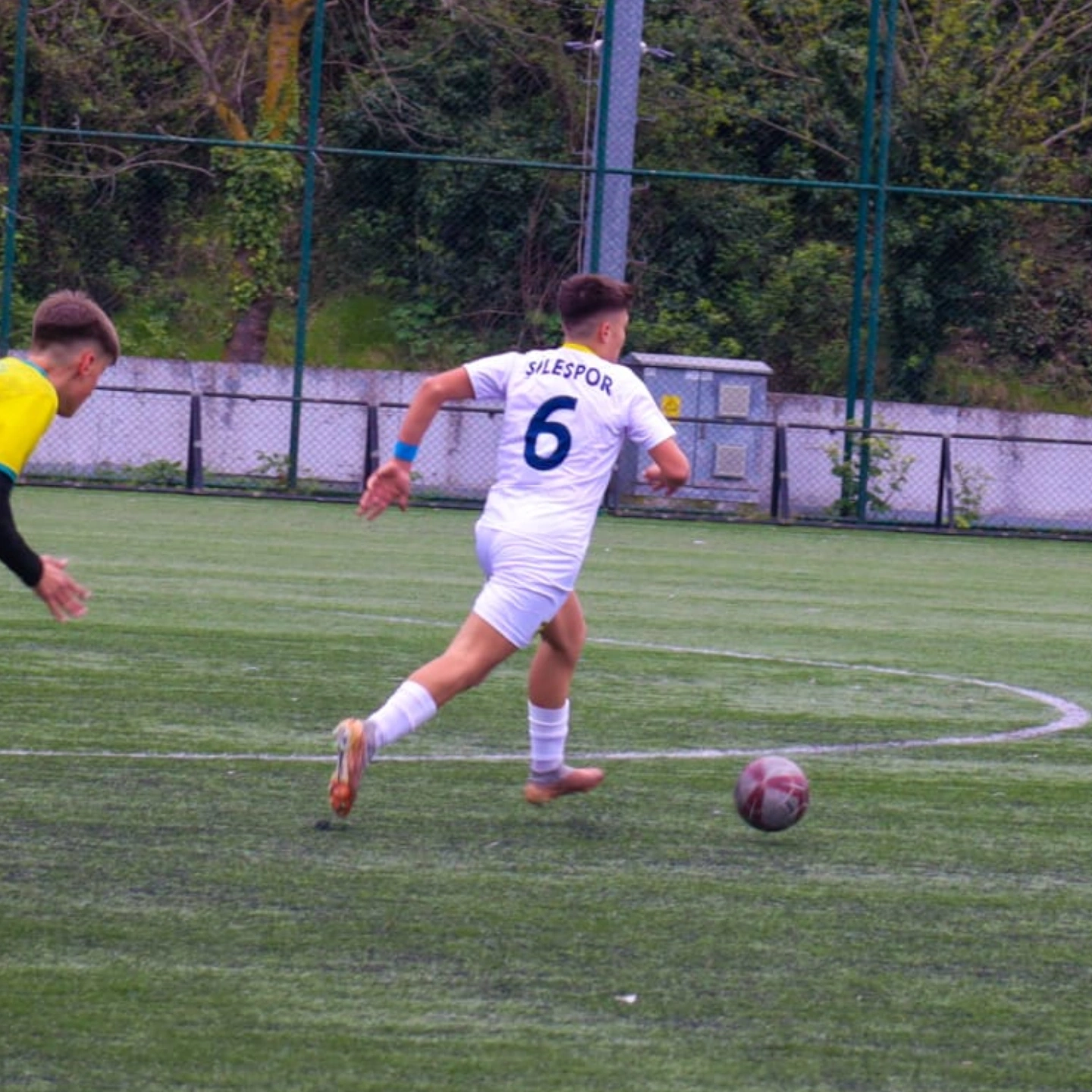 Poyraz Arı